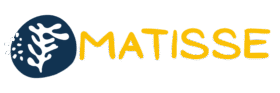 matissecanada.com